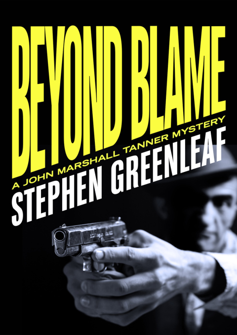 Cover image for book Beyond Blame