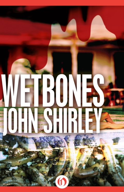 Cover image for book Wetbones