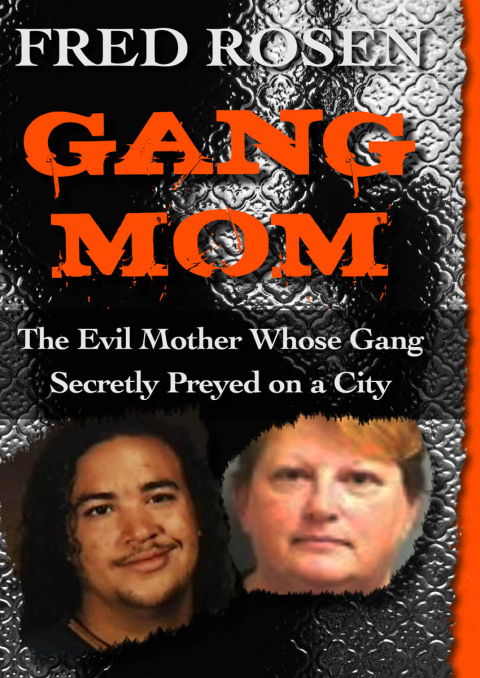 Cover image for book Gang Mom
