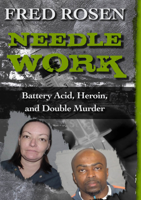 Cover image for book Needle Work