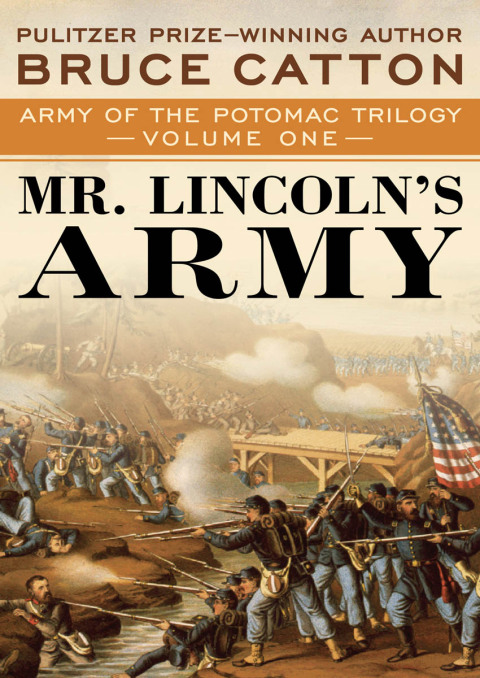 Cover image for book Mr. Lincoln's Army