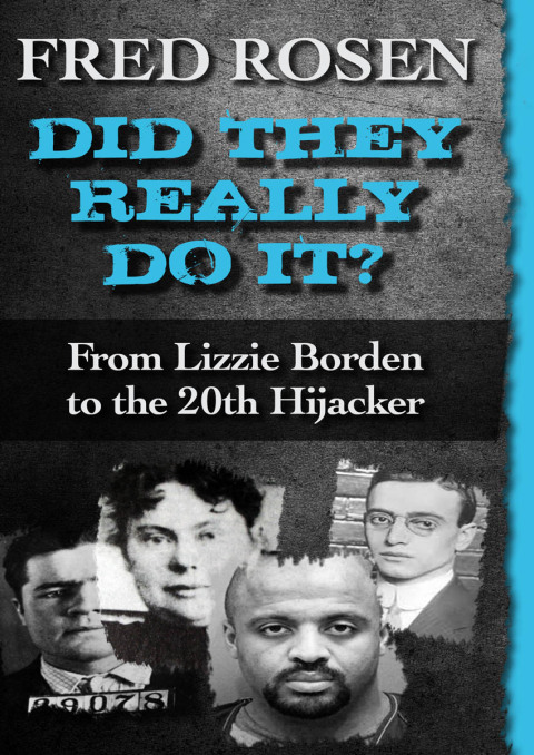 Cover image for book Did They Really Do It?