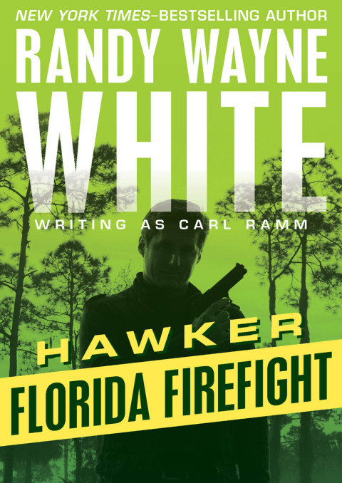 Cover image for book Florida Firefight