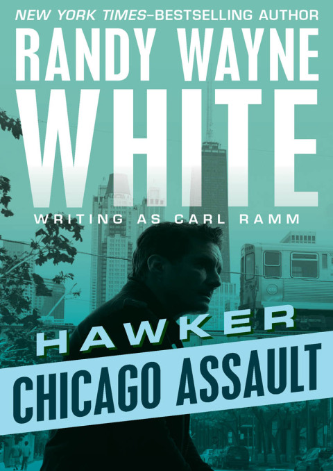 Cover image for book Chicago Assault