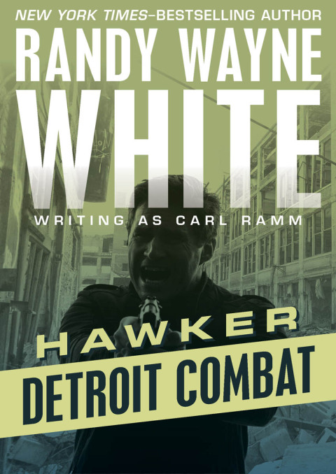 Cover image for book Detroit Combat