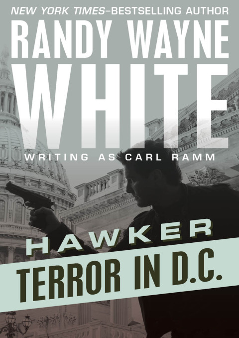 Cover image for book Terror in D.C.