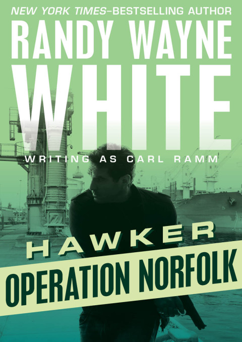 Cover image for book Operation Norfolk