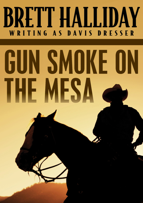 Cover image for book Gun Smoke on the Mesa