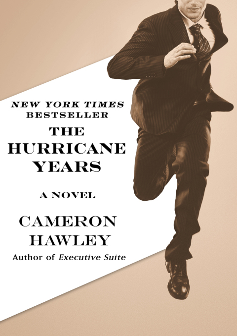 Cover image for book The Hurricane Years