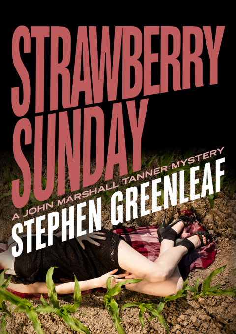 Cover image for book Strawberry Sunday