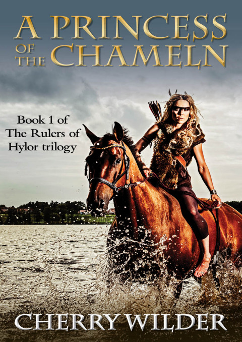 Cover image for book A Princess of the Chameln