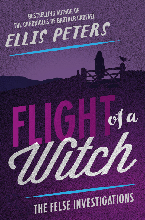 Cover image for book Flight of a Witch