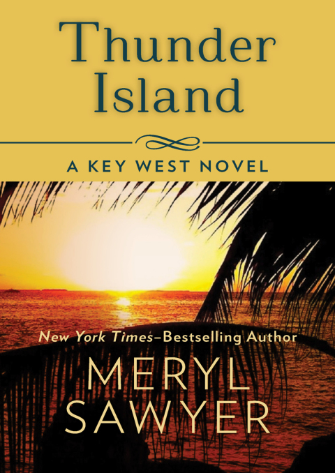 Cover image for book Thunder Island
