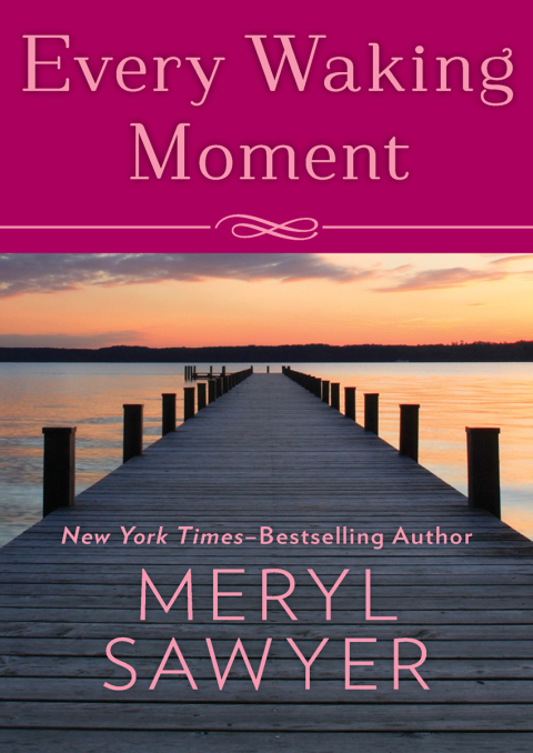 Cover image for book Every Waking Moment