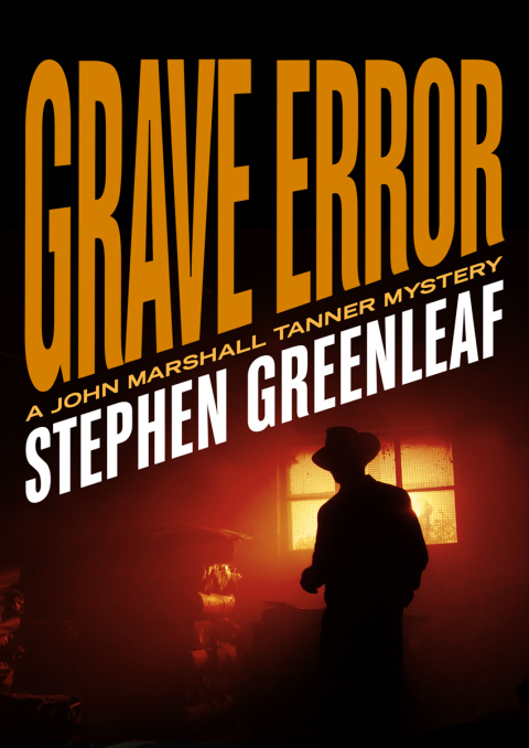 Cover image for book Grave Error