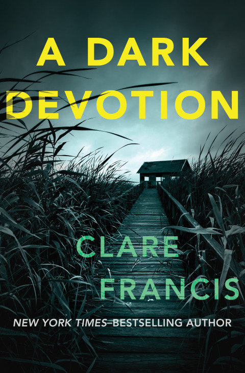 Cover image for book A Dark Devotion