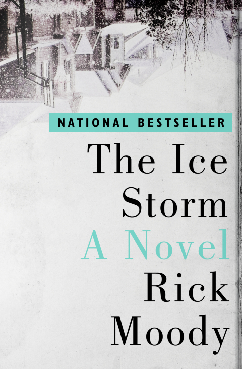 Cover image for book The Ice Storm