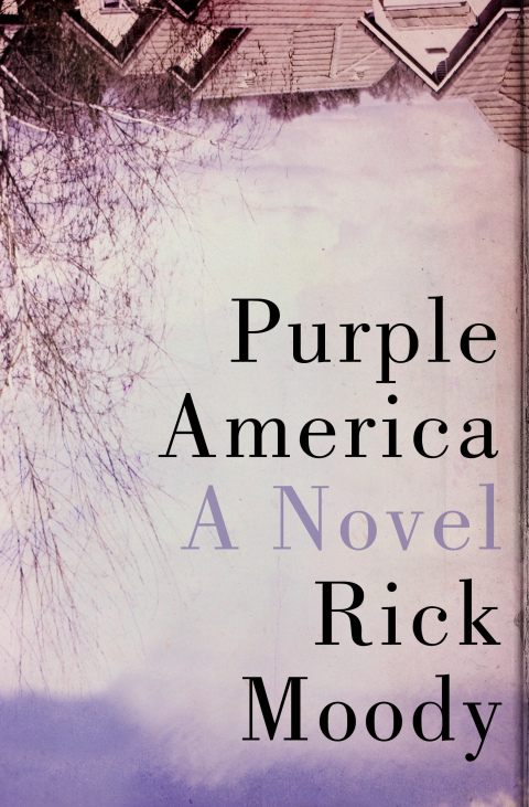 Cover image for book Purple America