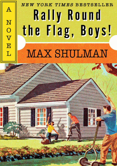 Cover image for book Rally Round the Flag, Boys!