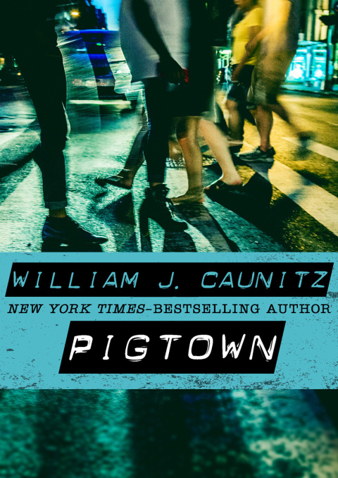 Cover image for book Pigtown