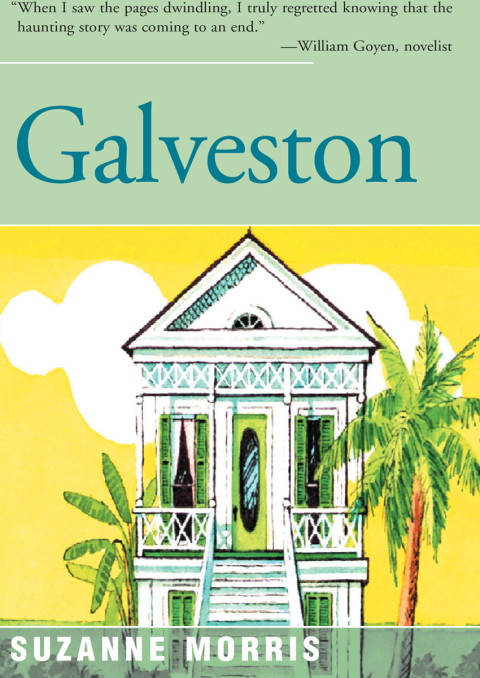 Cover image for book Galveston