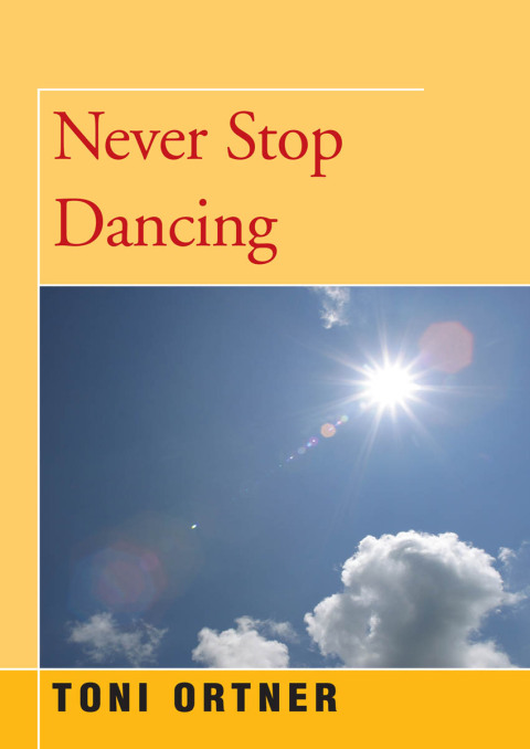 Cover image for book Never Stop Dancing
