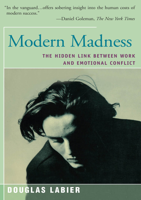 Cover image for book Modern Madness