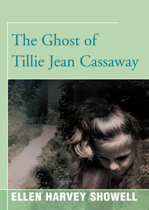 Cover image for book The Ghost of Tillie Jean Cassaway