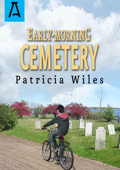 Cover image for book Early-Morning Cemetery
