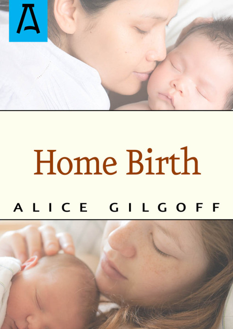 Cover image for book Home Birth