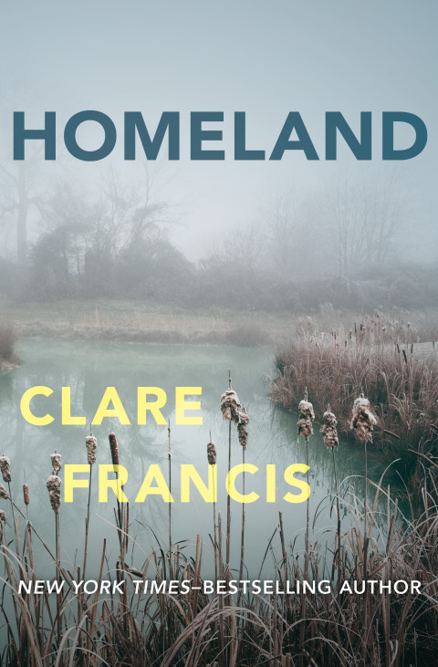 Cover image for book Homeland