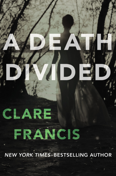 Cover image for book A Death Divided