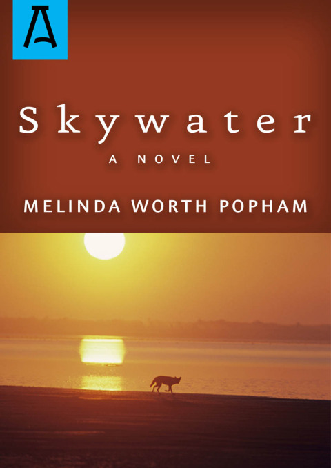 Cover image for book Skywater