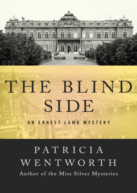 Cover image for book The Blind Side