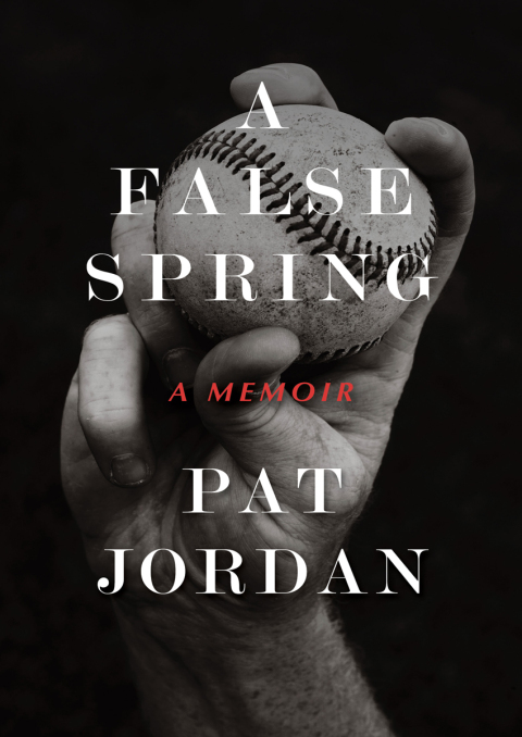 Cover image for book A False Spring