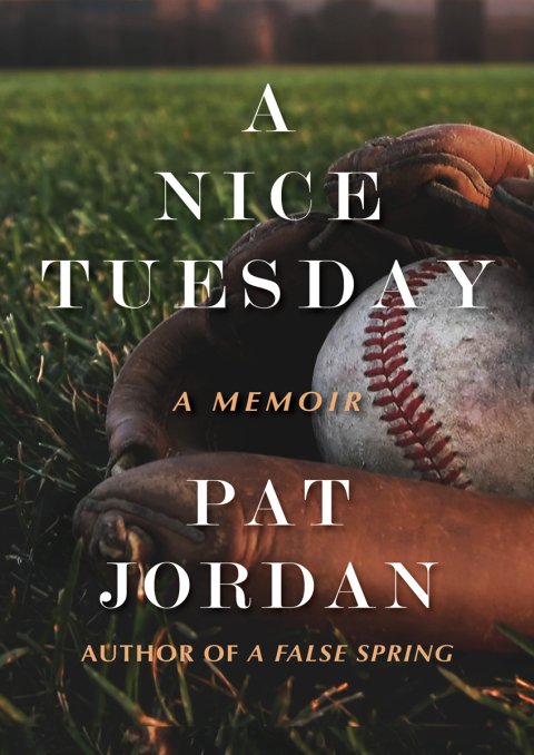 Cover image for book A Nice Tuesday