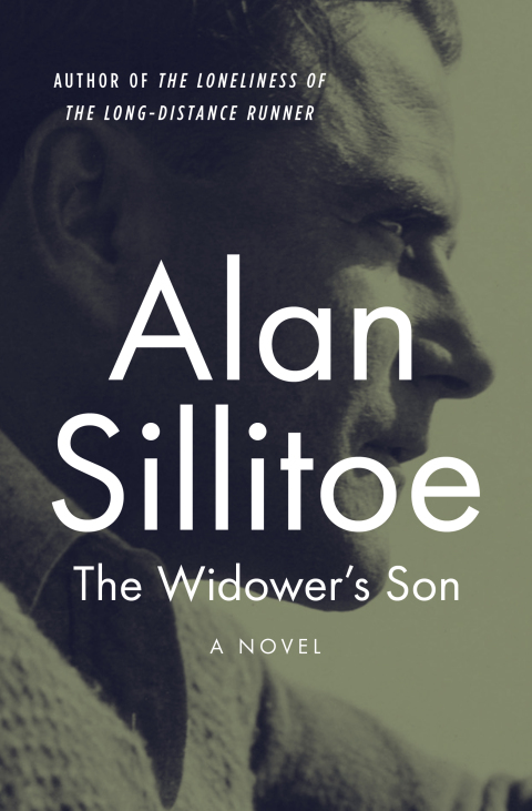 Cover image for book The Widower's Son