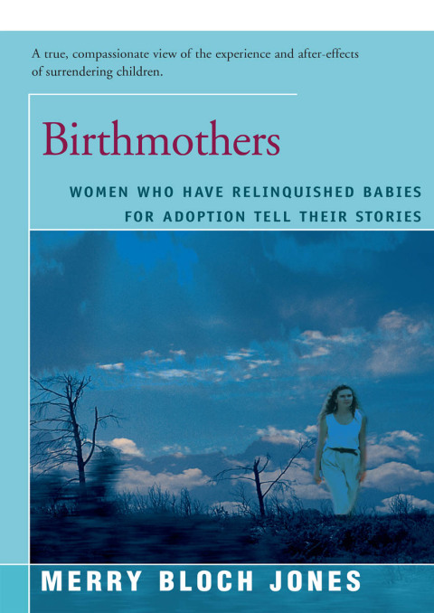 Cover image for book Birthmothers