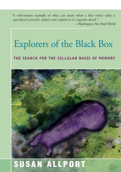 Cover image for book Explorers of the Black Box