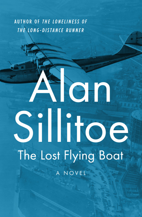 Cover image for book The Lost Flying Boat