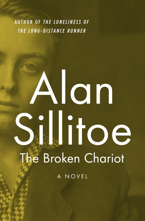 Cover image for book The Broken Chariot