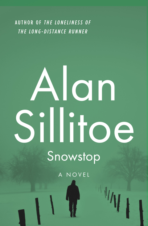 Cover image for book Snowstop
