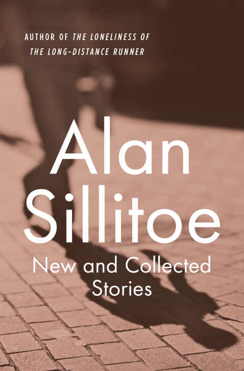 Cover image for book New and Collected Stories