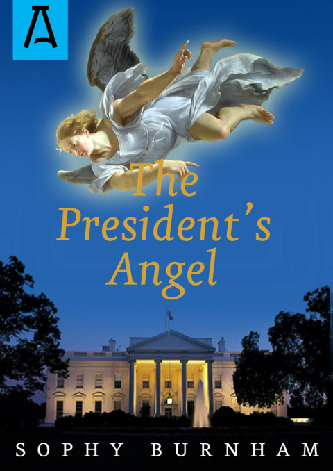 Cover image for book The President's Angel