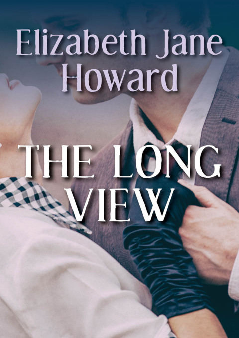 Cover image for book The Long View