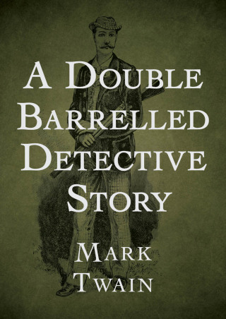 A Double Barrelled Detective Story