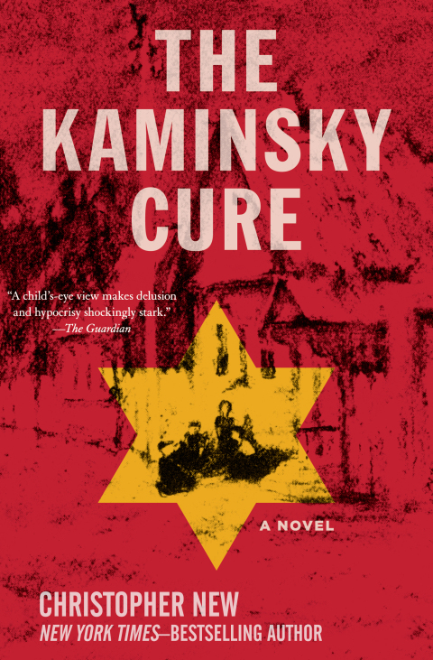 Cover image for book The Kaminsky Cure