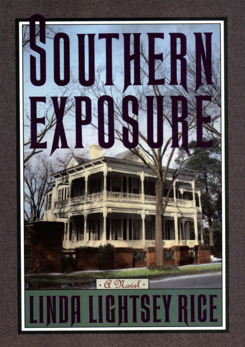 Cover image for book Southern Exposure