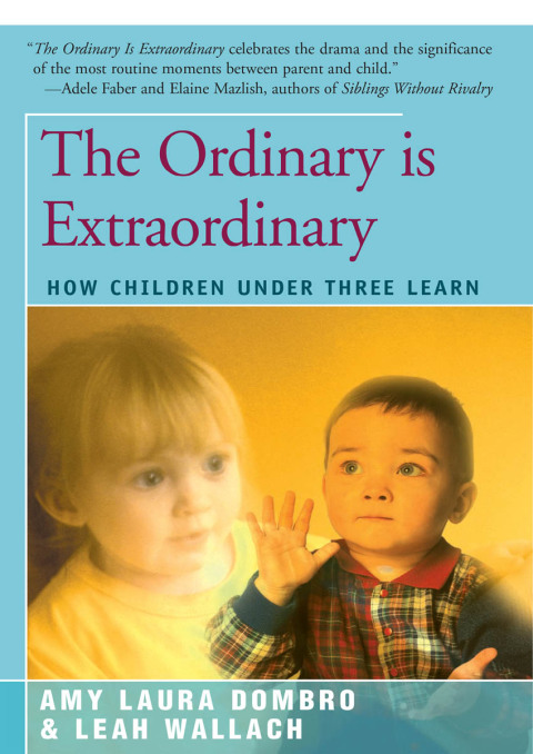 Cover image for book The Ordinary is Extraordinary
