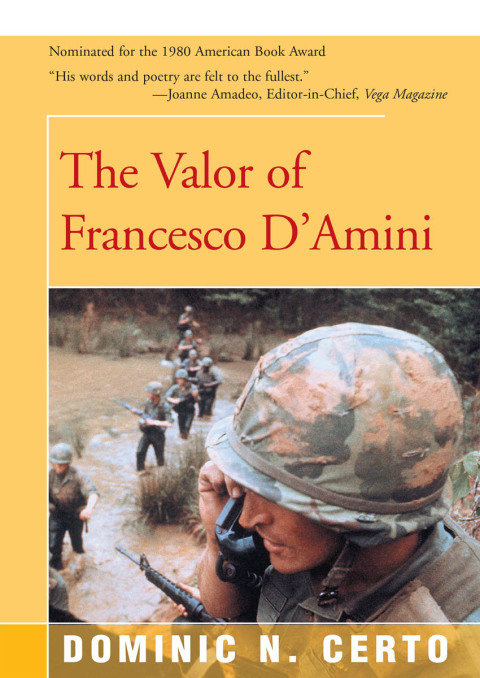 Cover image for book The Valor of Francesco D'Amini